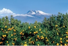 한라산 남쪽 첫 마을 하례2리 자연생태우수마을로 신규지정