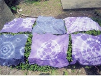 위미초, 꼬투리가족 도서관나들이 진행