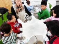 대정서초, 창의적 체험활동 목장체험학습