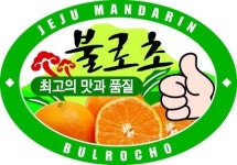 제주감귤농협「불로초」대한민국 퍼스트브랜드 5년 연속 대상
