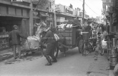 서재철 자연사랑미술관장 사진 1500점 기증