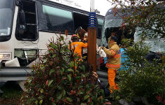 제주 평화로서 버스 대 버스 충돌 31명 중경상