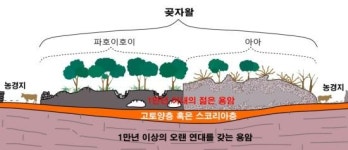 새롭게 수정된 제주 곶자왈 역사 1만년 전에 생성…매우 젊어