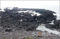 30대 男,서귀포시 중문동 인근 해안가서 숨진 채 발견