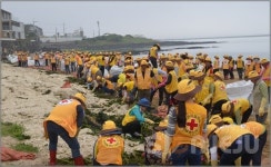 대한적십자 제주지사, 곱닥한 제주 바당 만들기 정화활동