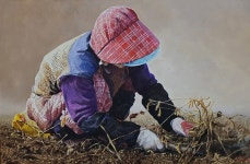 갤러리노리, 21일 이명복 작가 작품展