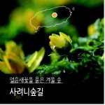 탐라국입춘굿 등 '2월 제주관광 추천 10선' 발표