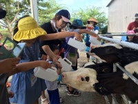 팜팜버스(Farm & Fam Bus)에서 만나는 또다른 제주!!