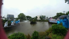 남원1리 광지동 너브못에 모기방제용 미꾸라지 방류