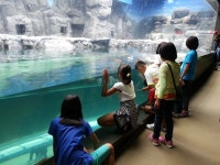 제주도, 동물원·수족관 운영시 등록 강화 의무화