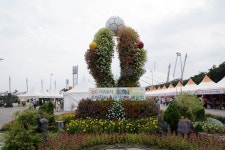 2017년 서귀포시주민자치 & 평생학습박람회 성황