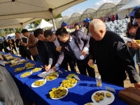 도입 신품종 키위 현장 평가회 성황리 마쳐