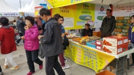 대정농협, 방어축제장에 지역 농산물 직거래장터 운영