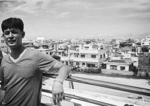 비자림로, 금백조로 확장은 제2공항 위한 제주환경 파괴 서막