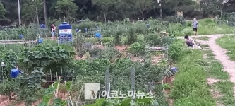 수원시민 사랑받는 ‘탑동시민농장’...끝까지 시민 곁에 남을 수 있을까