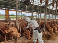 여주시, 구제역 유입 차단에 총력