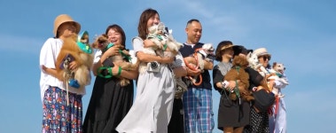 강릉 최초, 반려견 바다 입수 가능... 남항진 해변 ‘댕댕sea 비치’ 곧 개장