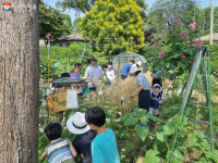 텃밭 가꾸기에 도전하고 싶다면? ...‘서울 친환경농장 11곳, 2월1일 10시부터 선착순 분양