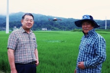 양평농협, 수도작 드론방제 실시