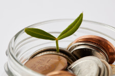 농식품 모태펀드의 드라이 파우더와 캐피탈 콜