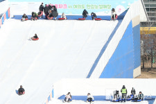 「M포토」 도심에서도 눈썰매 즐겨요~ 서울 한강눈썰매장 개장