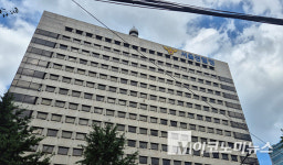온라인 확산 허위정보 단속 강화...경찰, 총 29명 검거