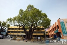 홍성군, 생활쓰레기 불법투기 단속 강화