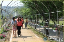 의성군, 명품 둘레길 조성 완료