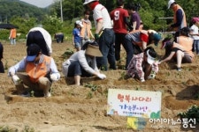 가족이 행복한 도시 군포, 가족봉사단 나눔농장 운영
