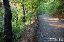 충북환경연대, 직동임도포장 즉각 철회 촉구