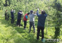 포항시 경제노동과, 농촌일솝돕기 지원