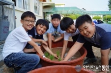 밀양 수산초, 통일벼 모내기 체험