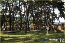 청송군, 2012 첫 청송캠핑축제 개최