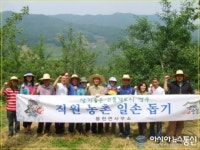 영주시, 봉현면사무소 직원 농촌일손돕기 봉사