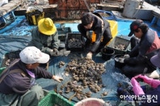 경주감포바다, 동해안 전복양식허브로 육성