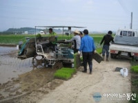 창원 의창구 대산면 사랑 나눔 농장 벼 모내기