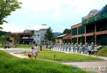 영양군, 청정의 대표 반딧불이 보러 오세요