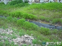 봉화군,합수리 주민 가뭄 극복 안간힘