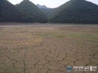 대청댐, 물 빠져 거북 등으로 변해