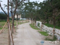 고령군, 주민 참여형 대가야농촌문화체험특구 조성