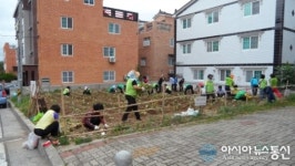 진해구 석동, 불법쓰레기 투기 만연 공한지 정비 나서...