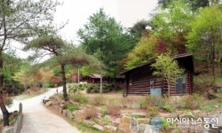 제천 박달대 자연휴양림 재개장