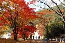 동두천시, 소요산 MTB 단풍공원 제막식 개최