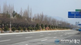 창원대로 녹지형중앙분리대 조성 1단계 잘했다