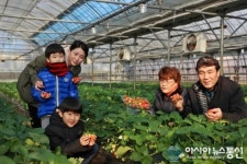 유기농 토마토도 따고 피서도 즐기고