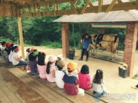 안양 박달초, 교과 학습과 연계한 학급별 창의적 체험학습
