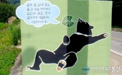 태백 상사미마을 포토 존 등 디자인사업 전개