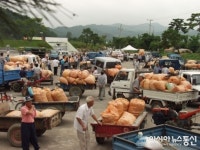 괴산군 홍고추시장, 장날 맞춰 내달 3일 개장