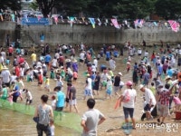단양, 매포서 맨손불고기잡기 대회