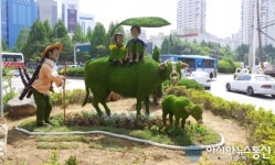 안양시, 이번엔 범계사거리에 토피어리 설치 호응